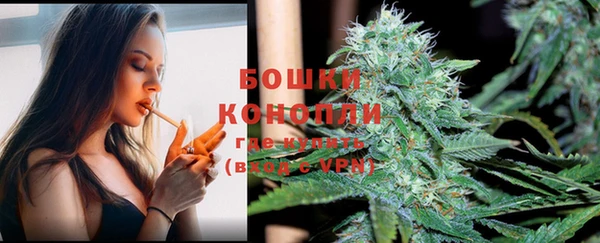 ешки Белокуриха