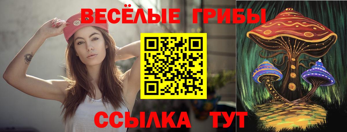 Псилоцибиновые грибы прущие грибы Калуга